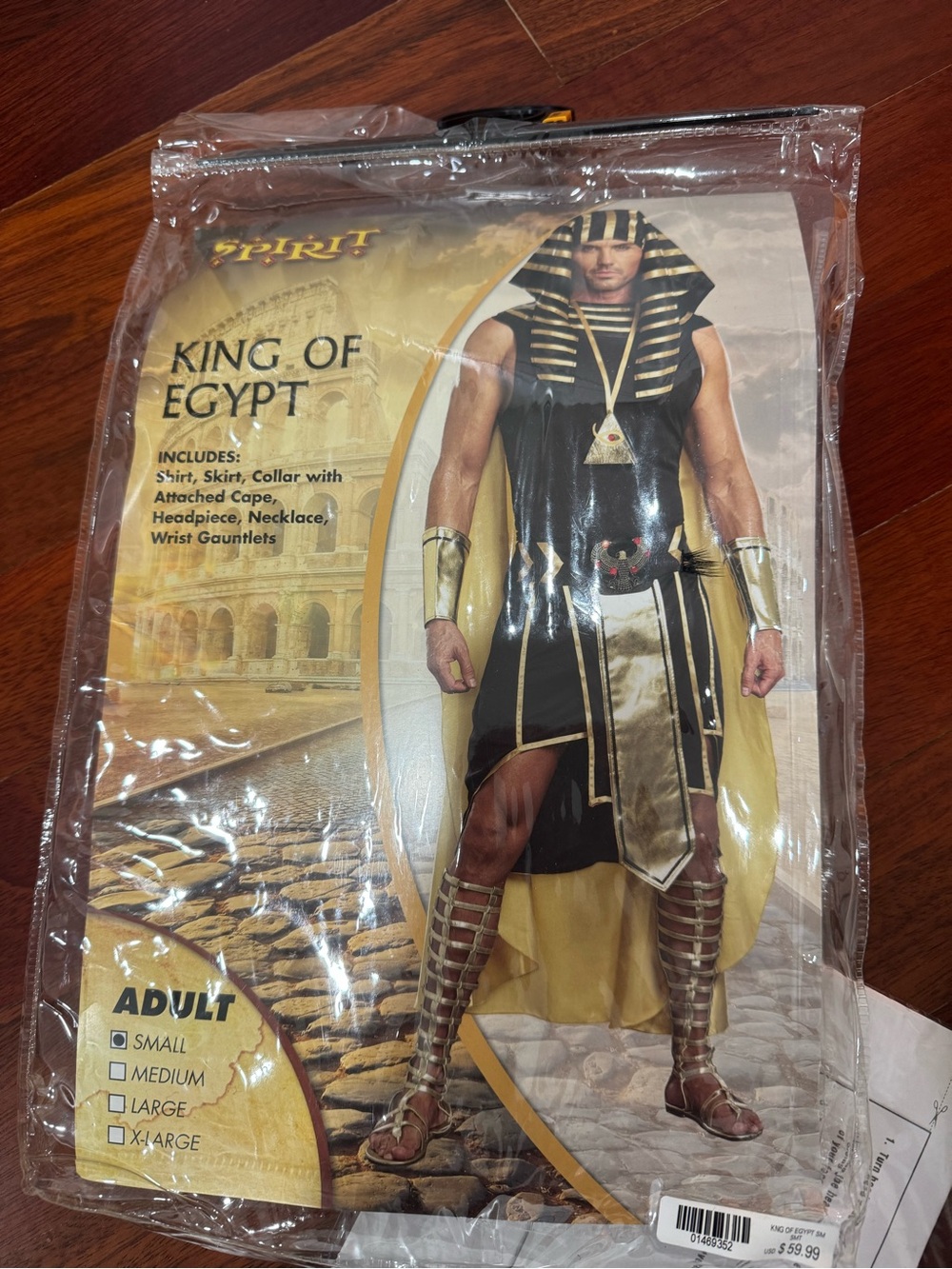 Spirit King of Egypt Men's Costume - Black and Gold